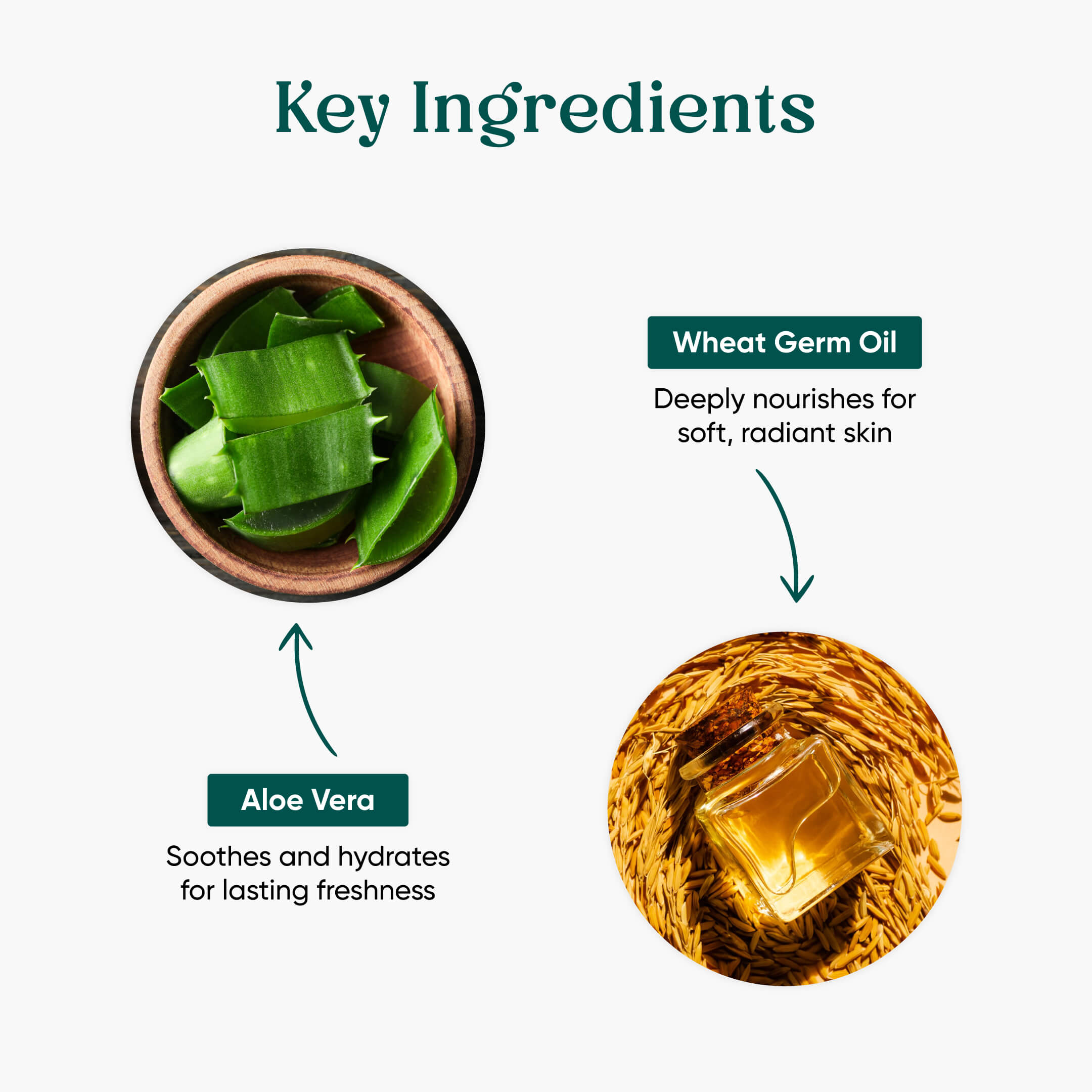 Skin Moisturizer